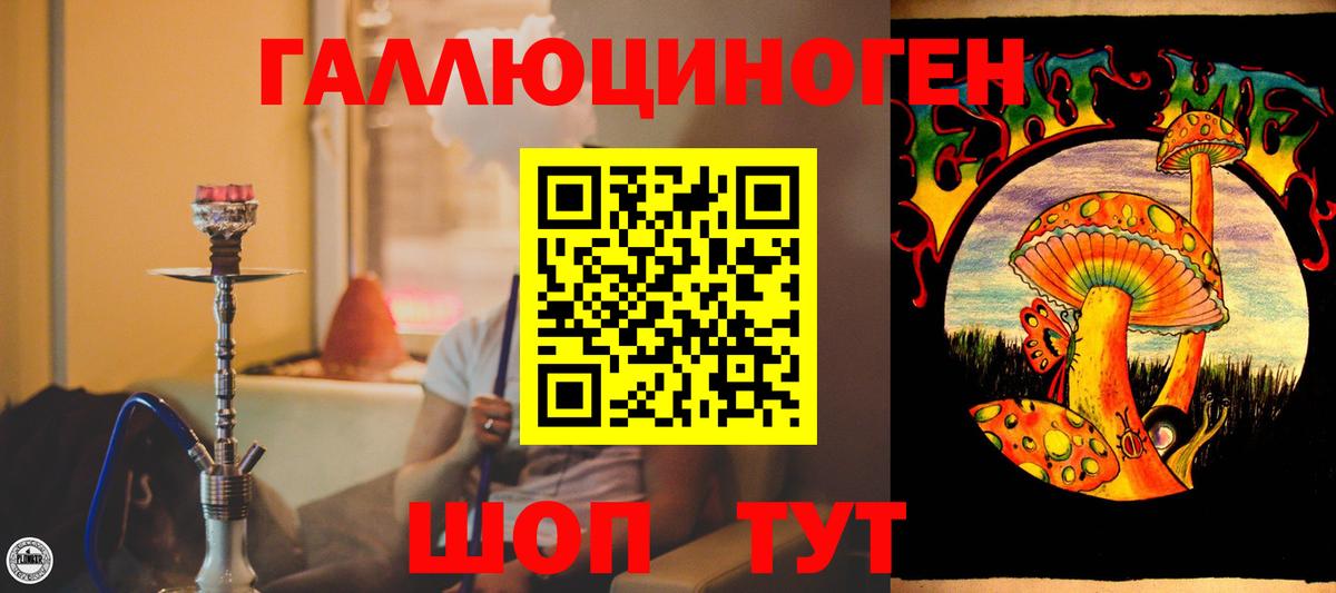 Кандалакша  Псилоцибиновые грибы Psilocybine cubensis  Вход с VPN 